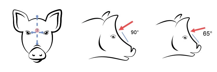 Taglópisztoly helyes pozícionálása disznóknak