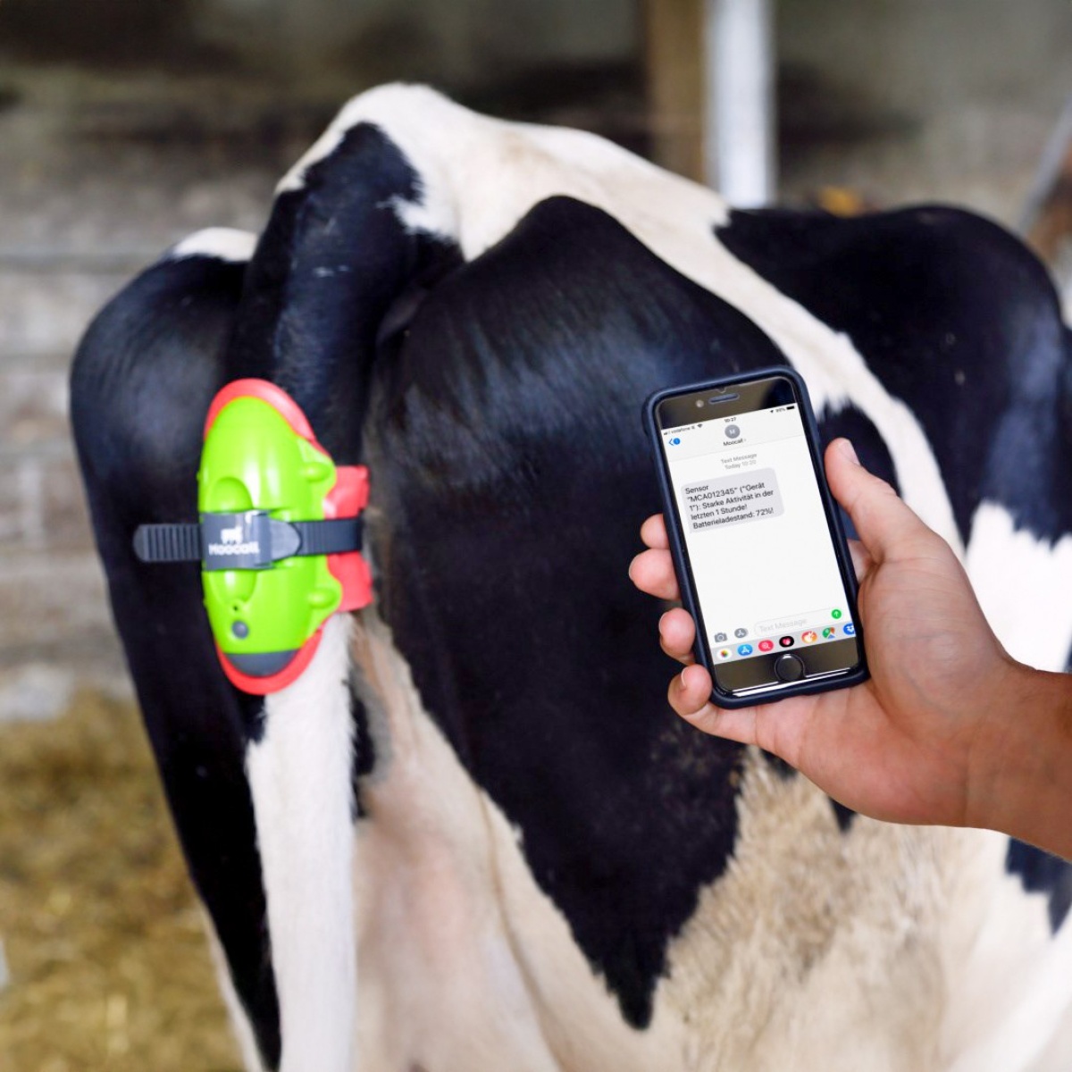 Ellési szenzor, Moocall