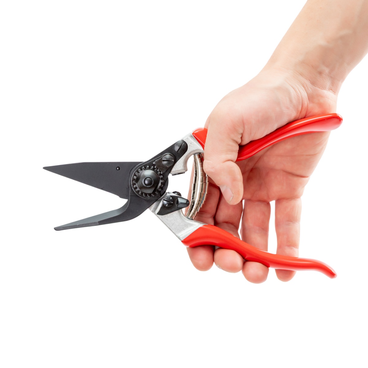 Patavágó olló juhok és kecskék számára, Felco 51