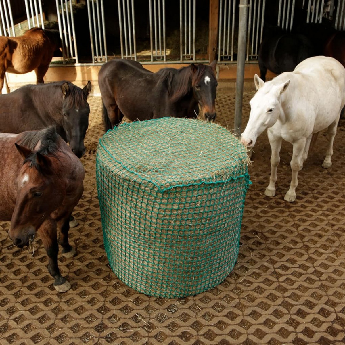 Etetőháló lovaknak, 150 × 150 cm