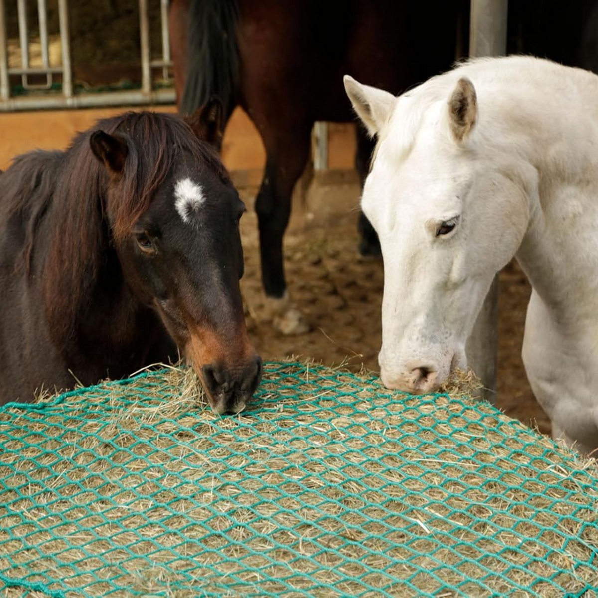 Etetőháló lovaknak, 150 × 150 cm