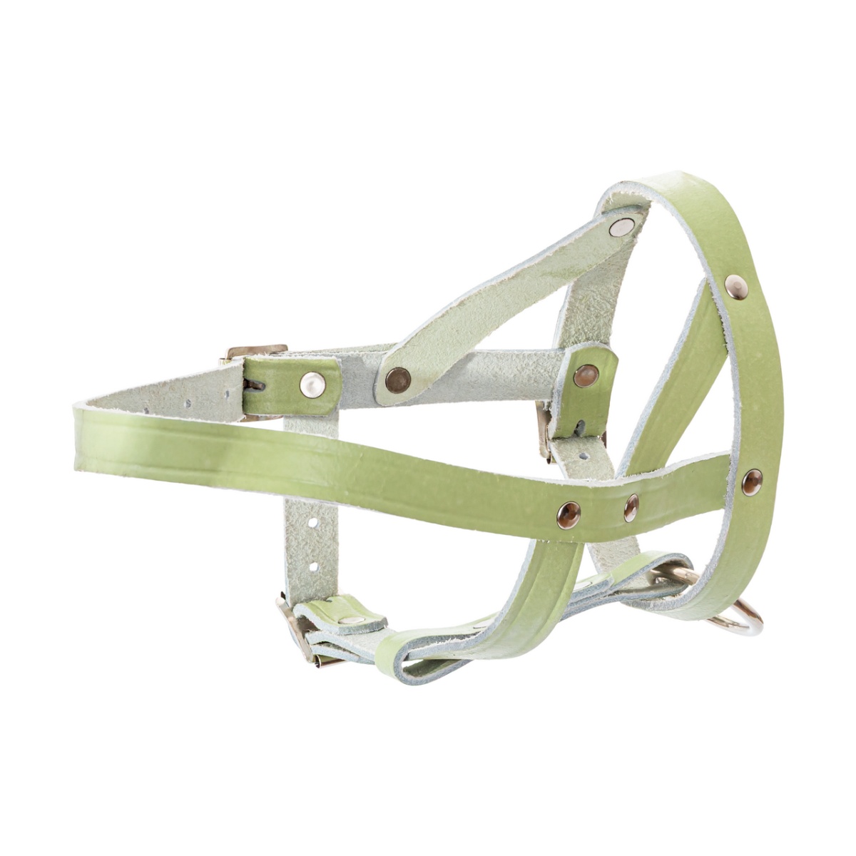 Állítható bőr kötőfék juhoknak és kosoknak