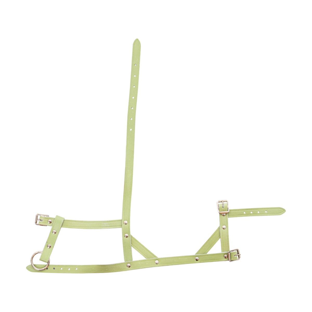 Állítható bőr kötőfék juhoknak és kosoknak