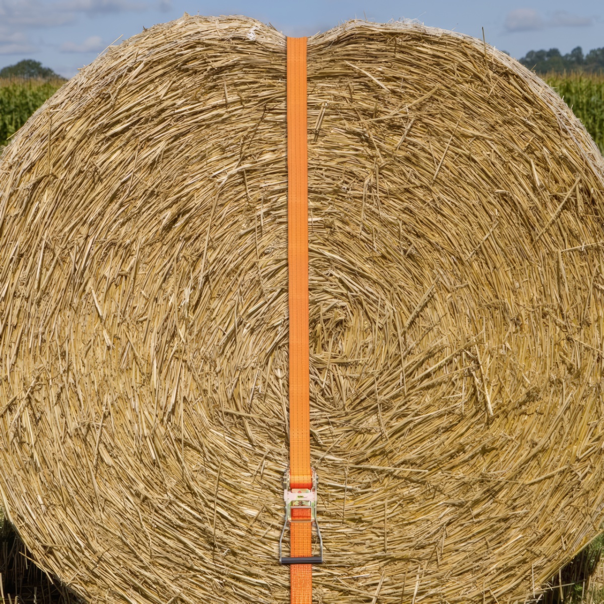 Racsnis rögzítőheveder, narancssárga, 4000 kg, 50 mm × 8 m