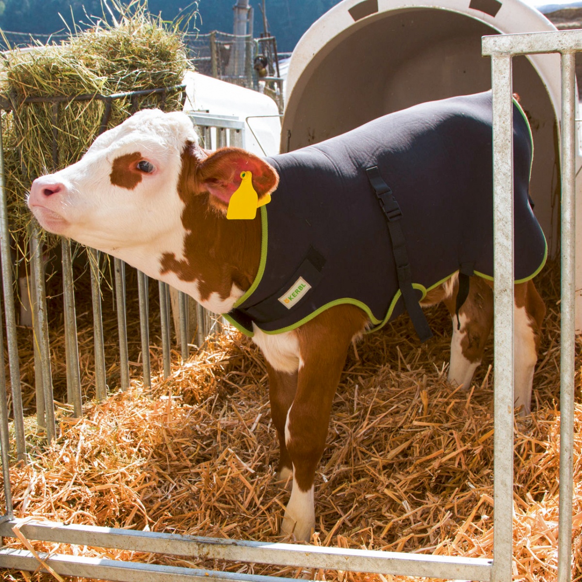 Prémium borjútakaró, hőszigetelő, vízálló, fekete, 70 × 70 cm