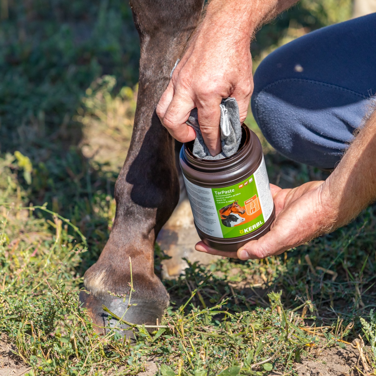 Bükkfakátrány paszta, TarPaste, 1 kg
