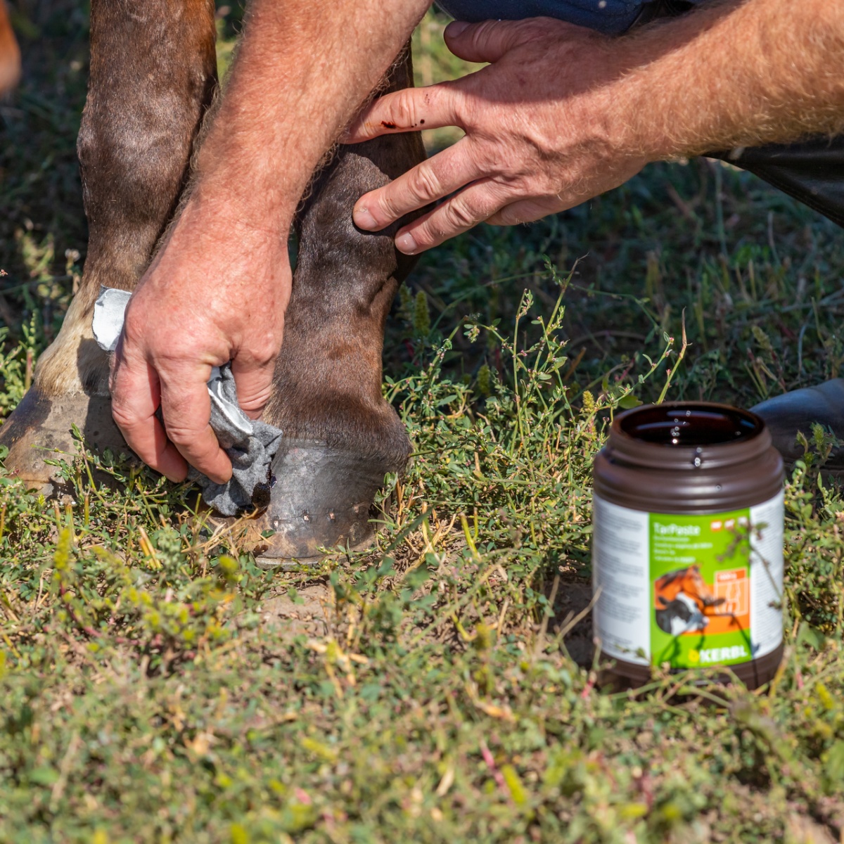 Bükkfakátrány paszta, TarPaste, 1 kg