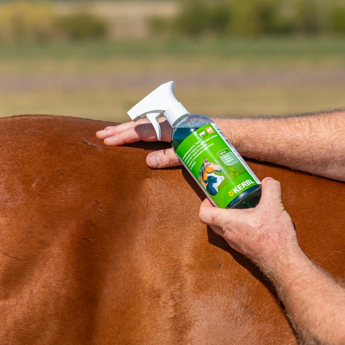 Sebápoló spray, Kerbl, 500 ml