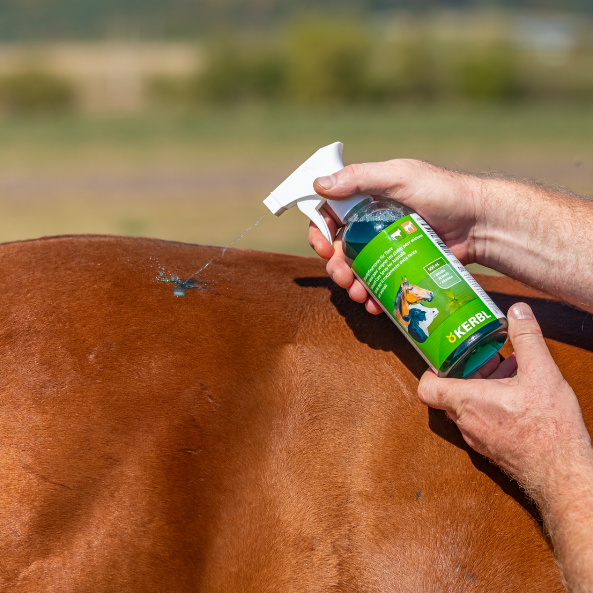 Sebápoló spray, Kerbl, 500 ml
