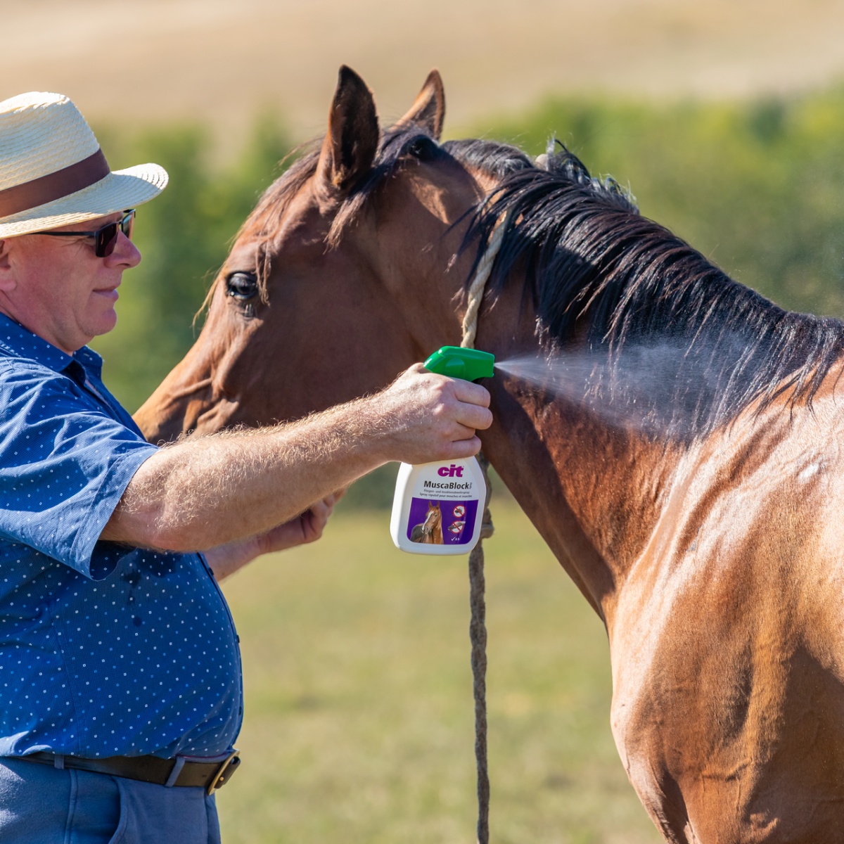 Légyriasztó spray, CIT MuscaBlock, 1 liter