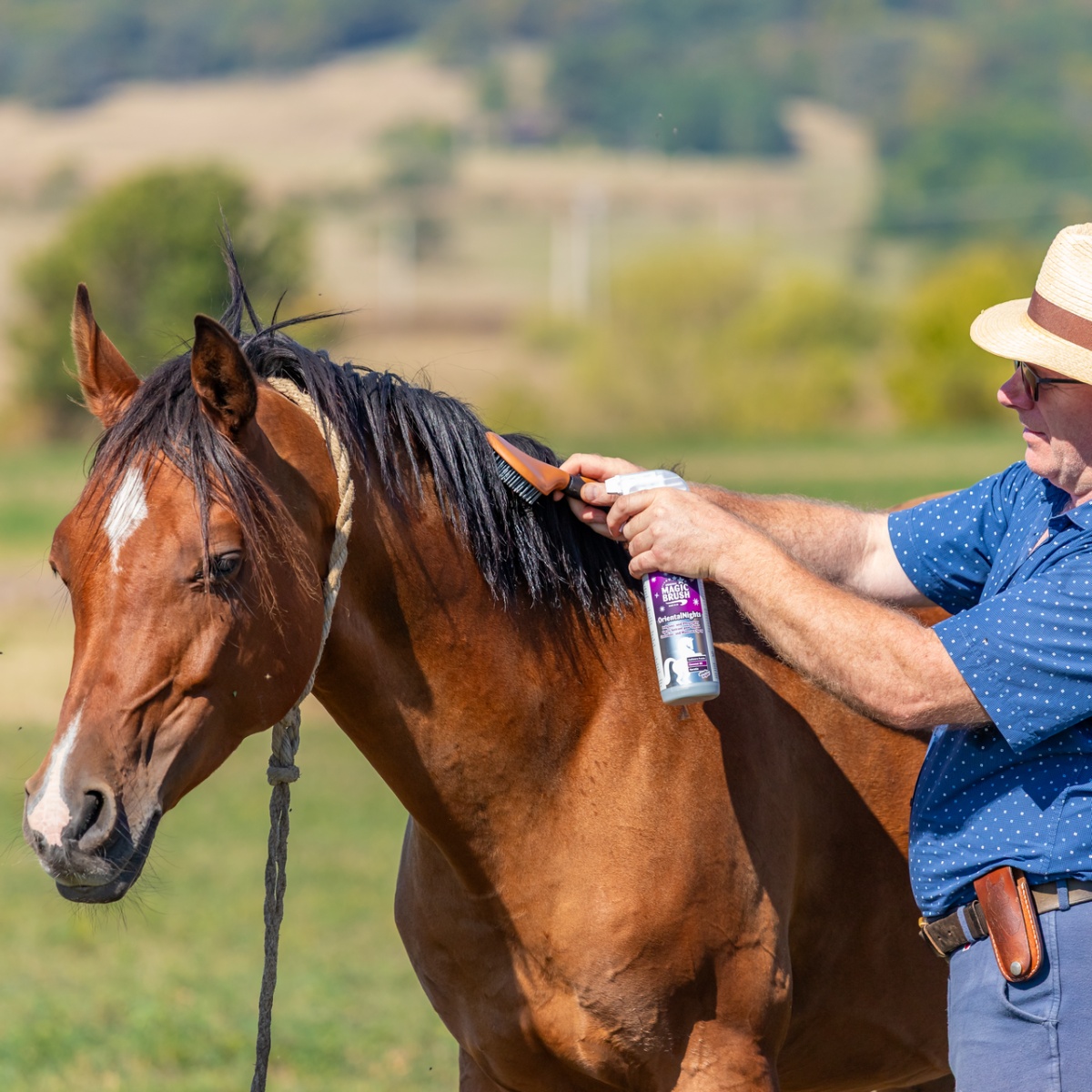 Sörényápoló spray, OrientalNights illattal, MagicBrush, 500 ml