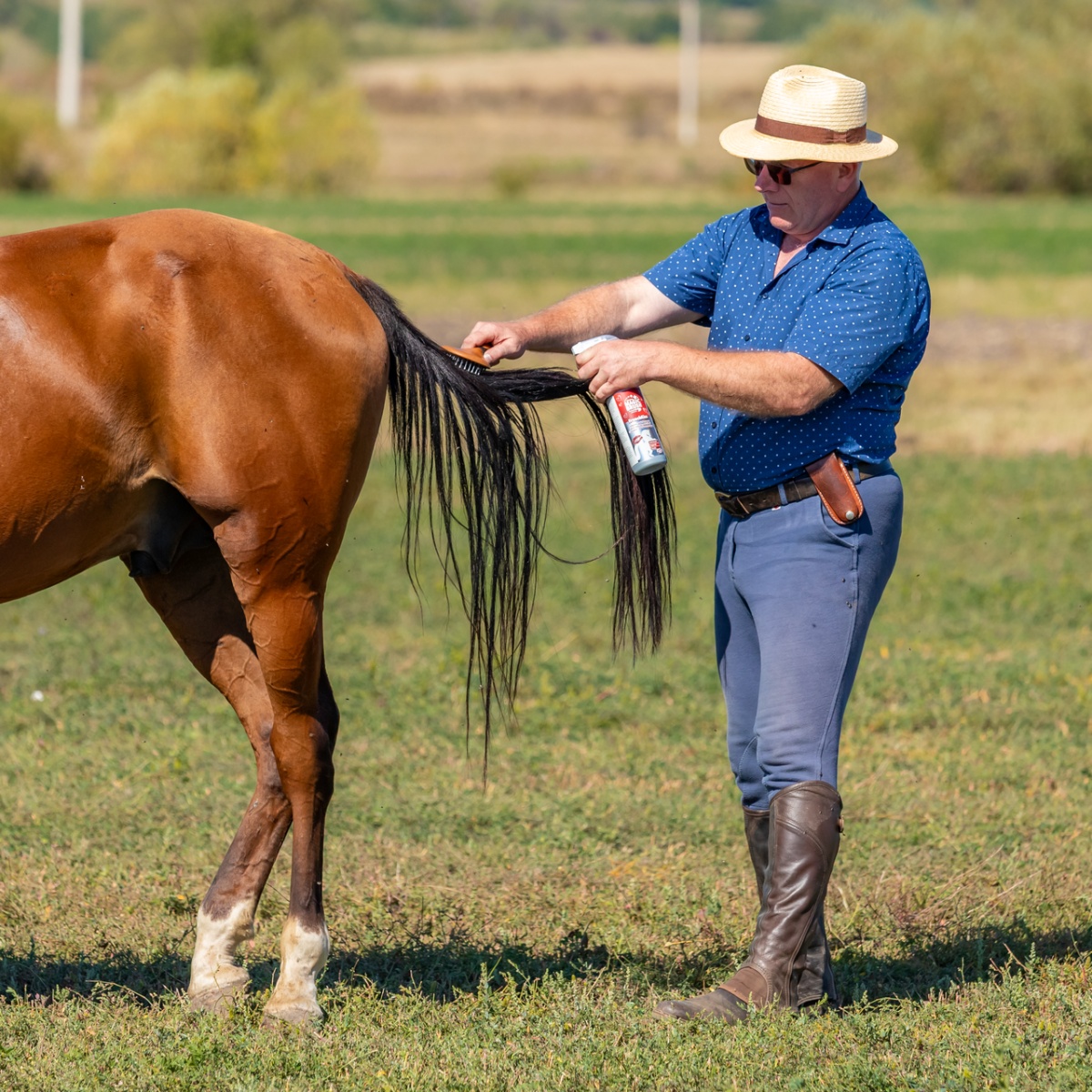 Sörényápoló spray, FrenchKiss illattal, MagicBrush, 500 ml