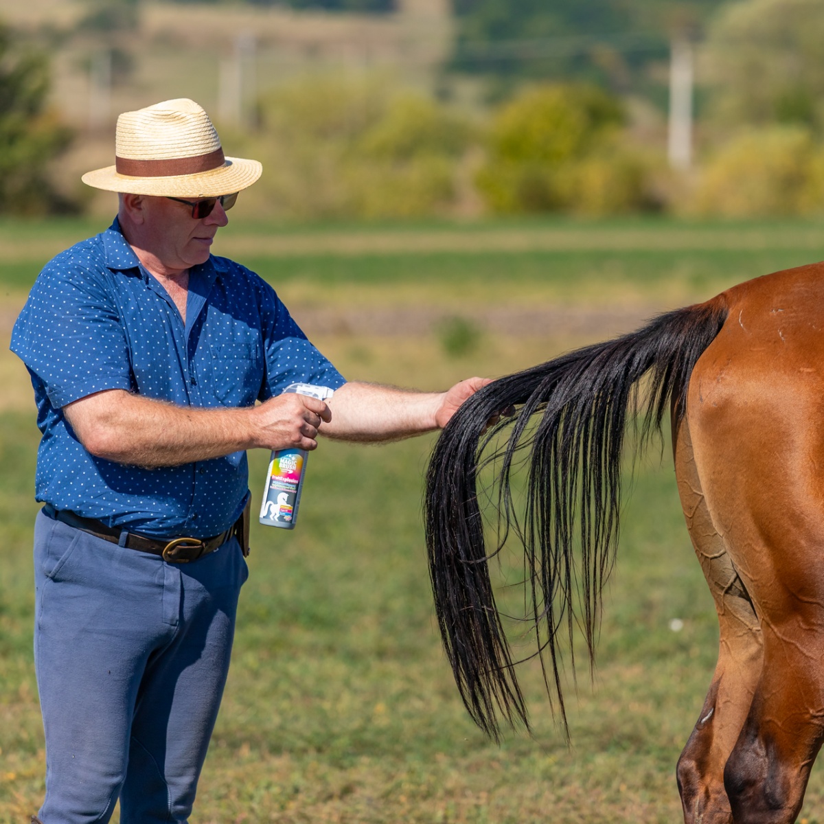 Sörényápoló spray, FruitExplosion illattal, MagicBrush, 500 ml