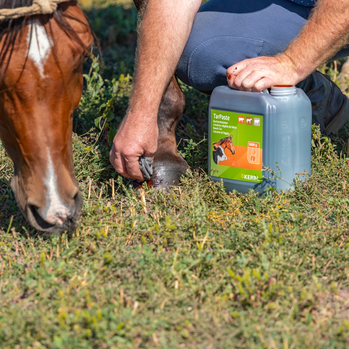Bükkfakátrány paszta, TarPaste, 5 kg