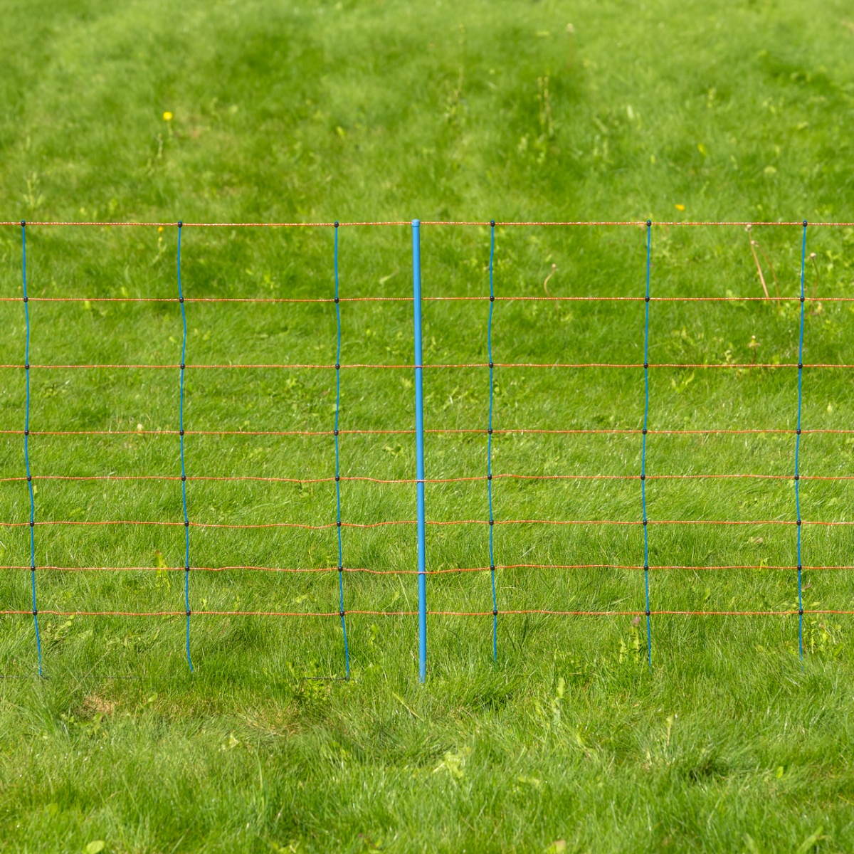 Villanypásztor háló, TitanNet Premium, 50 m × 90 cm