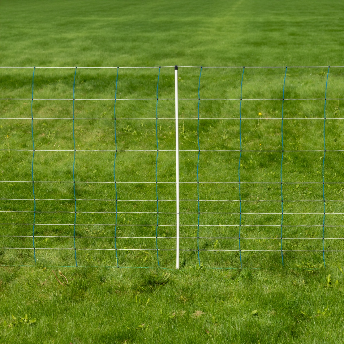 Villanypásztor háló, TitanNet, 50 m × 145 cm