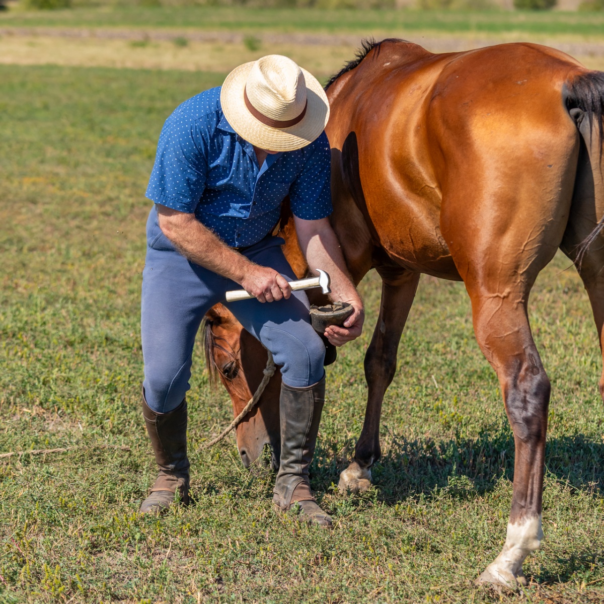 Patkolókalapács megerősített fa nyéllel, ~33 cm