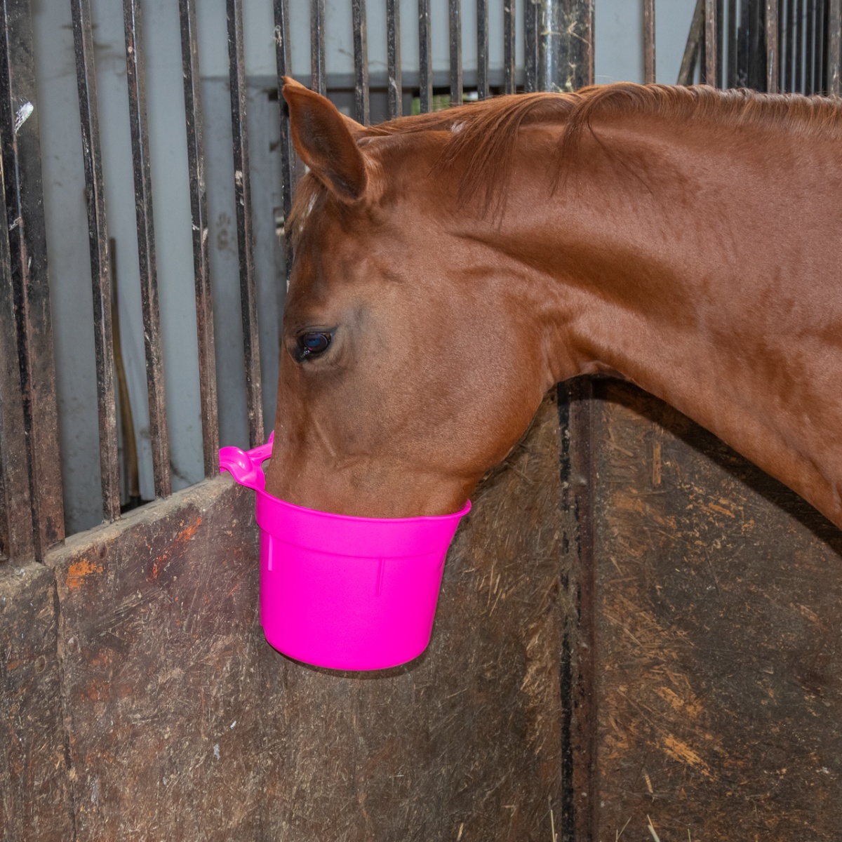 Etetővödör akasztófüllel, 8 literes hengeres forma, rózsaszín