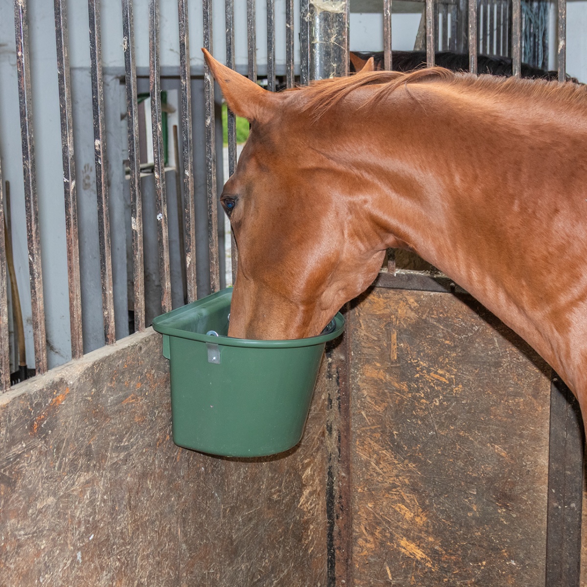 Etetővödör lovaknak, fémrögzítővel és füllel, sötétzöld, 12 literes