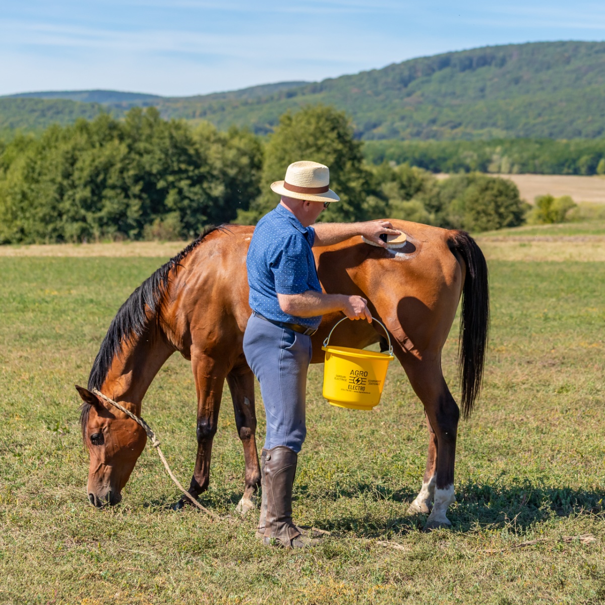 Lósampon, MagicBrush, 1000 ml