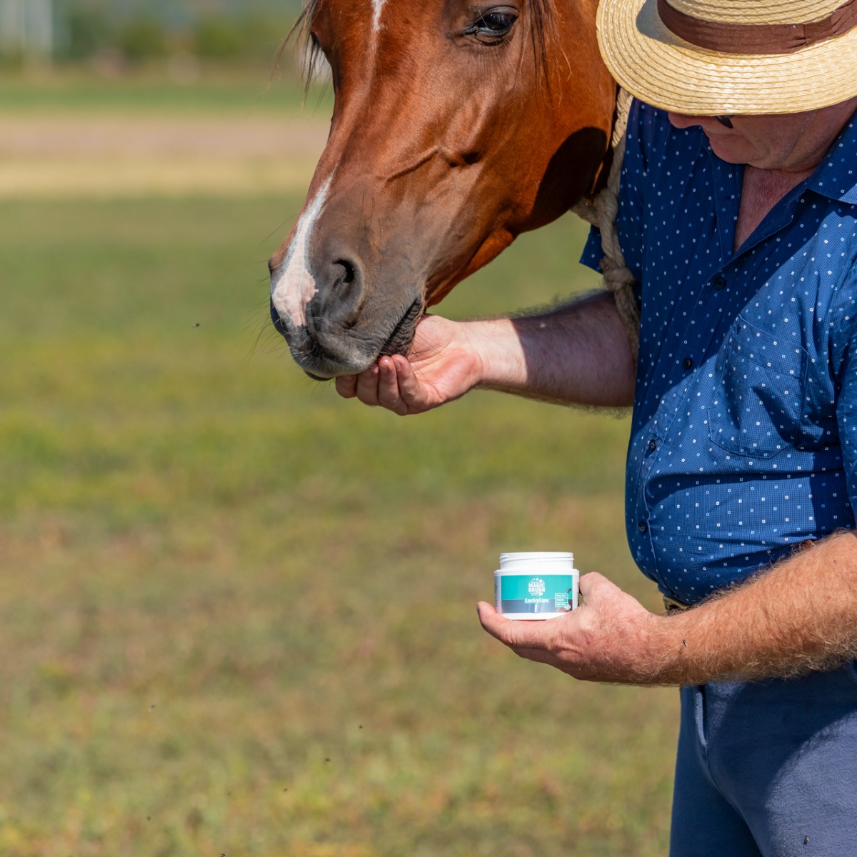 Ajakápoló balzsam lovaknak, MagicBrush, 150 ml