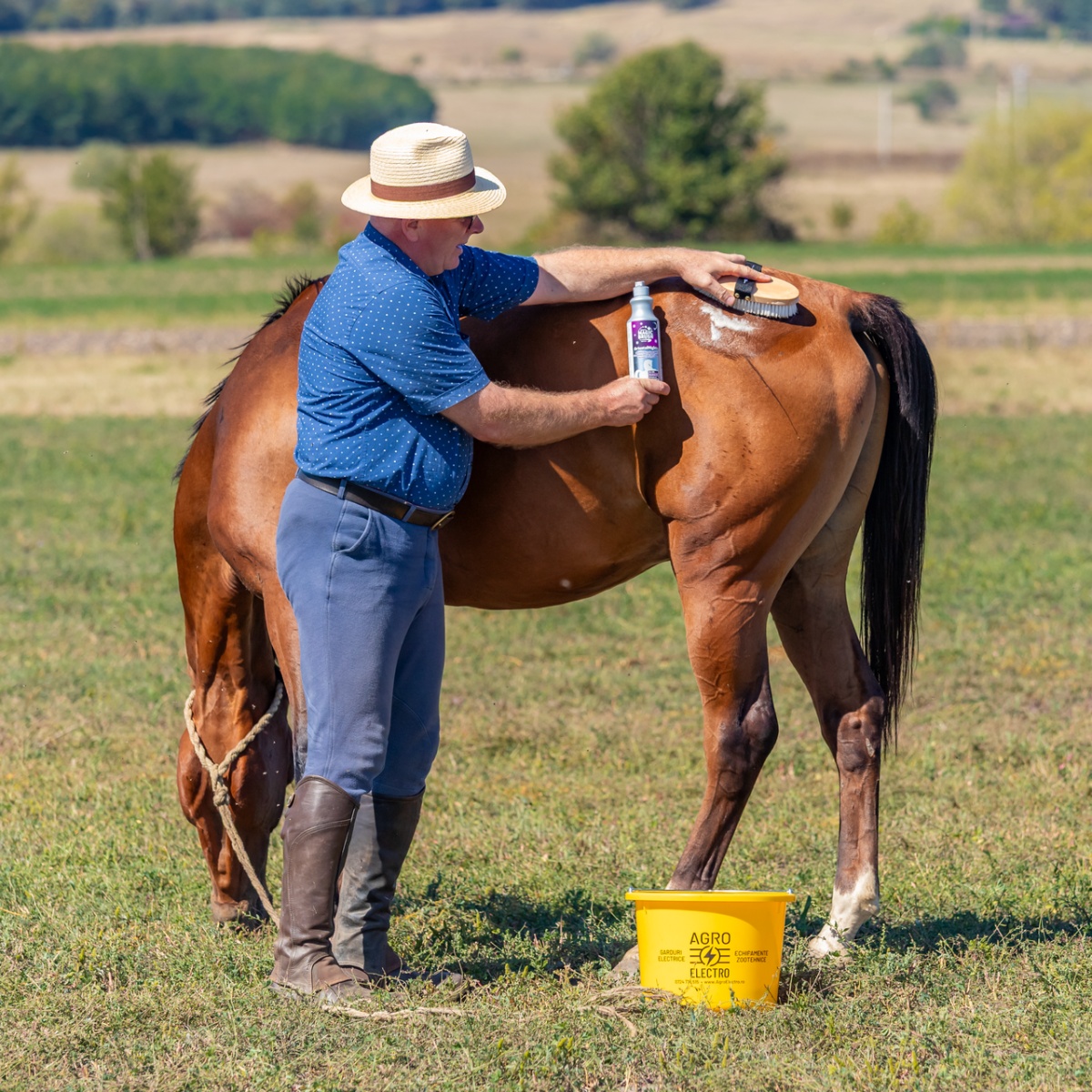 Lósampon, OrientalNights illattal, MagicBrush, 500 ml