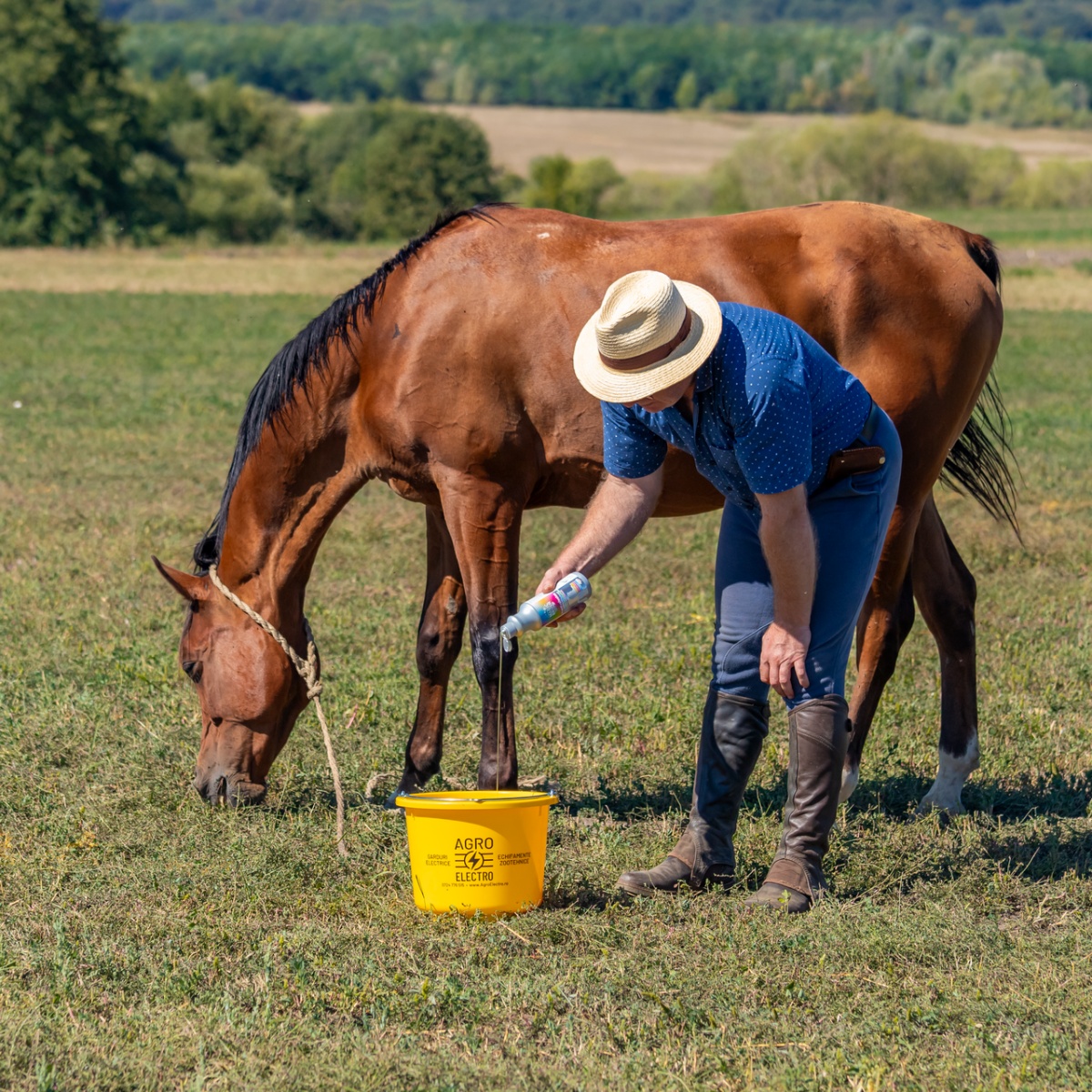 Lósampon, FruitExplosion illattal, MagicBrush, 500 ml
