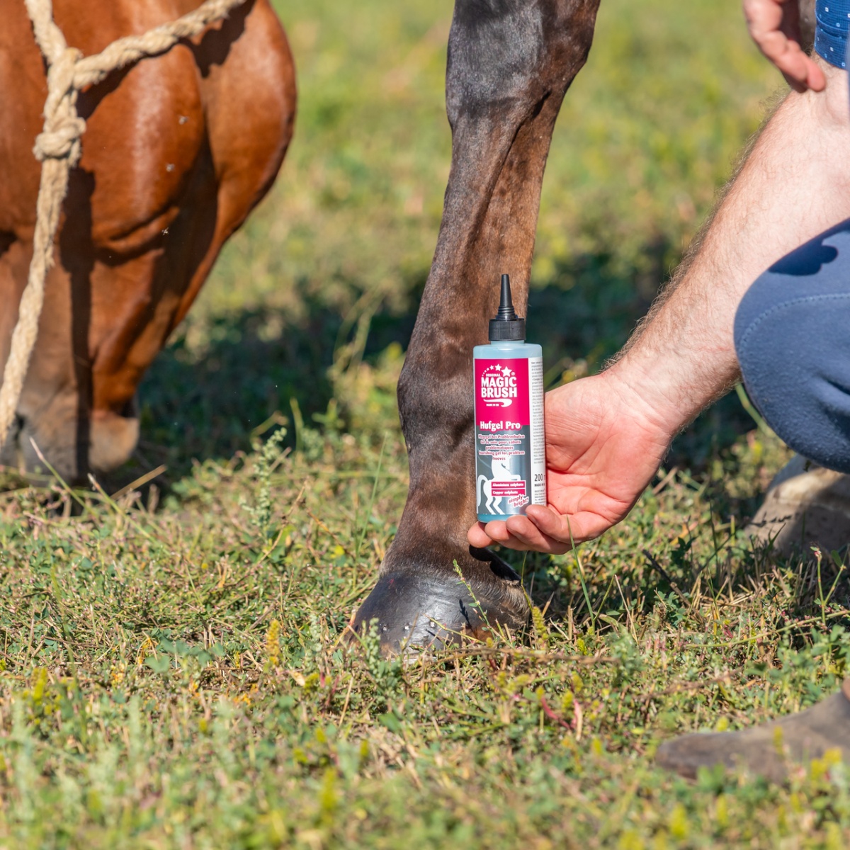 Patagél lovaknak, MagicBrush, 200 ml