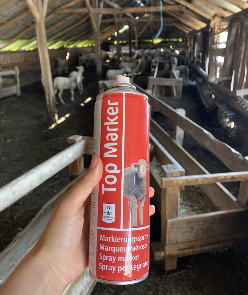 Termékértékelés - TopMarker piros jelölő spray juhoknak, 500 ml - agroelectro.hu