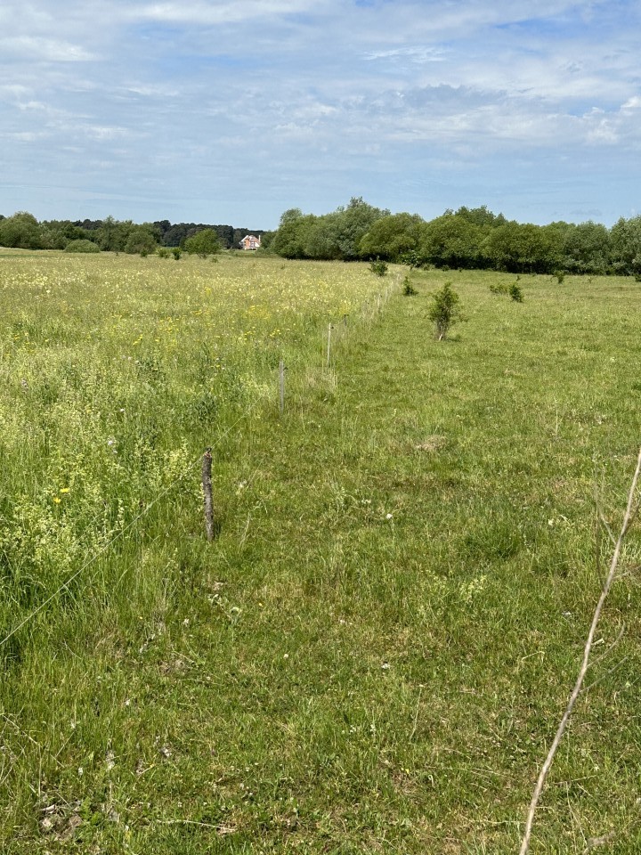 Termékértékelés - Villanypásztor zsinór - 250 m - 95 kg - 0,5 Ω/m - agroelectro.hu