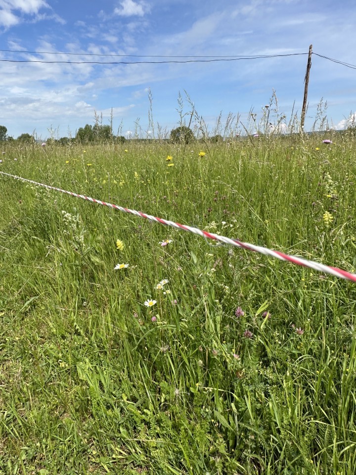 Termékértékelés - Villanypásztor zsinór - 250 m - 95 kg - 0,5 Ω/m - agroelectro.hu