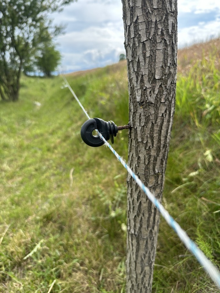 Termékértékelés - Erősített gyűrűs szigetelő, facsavaros, 25 db. - agroelectro.hu