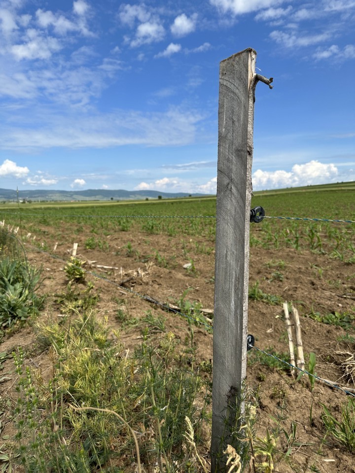Termékértékelés - Villanypásztor zsinór - 1000 m - 100 kg - 0,45 Ω/m - agroelectro.hu