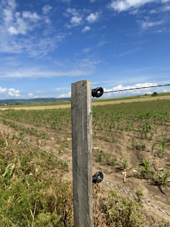 Termékértékelés - Villanypásztor zsinór - 250 m - 100 kg - 0,45 Ω/m - agroelectro.hu