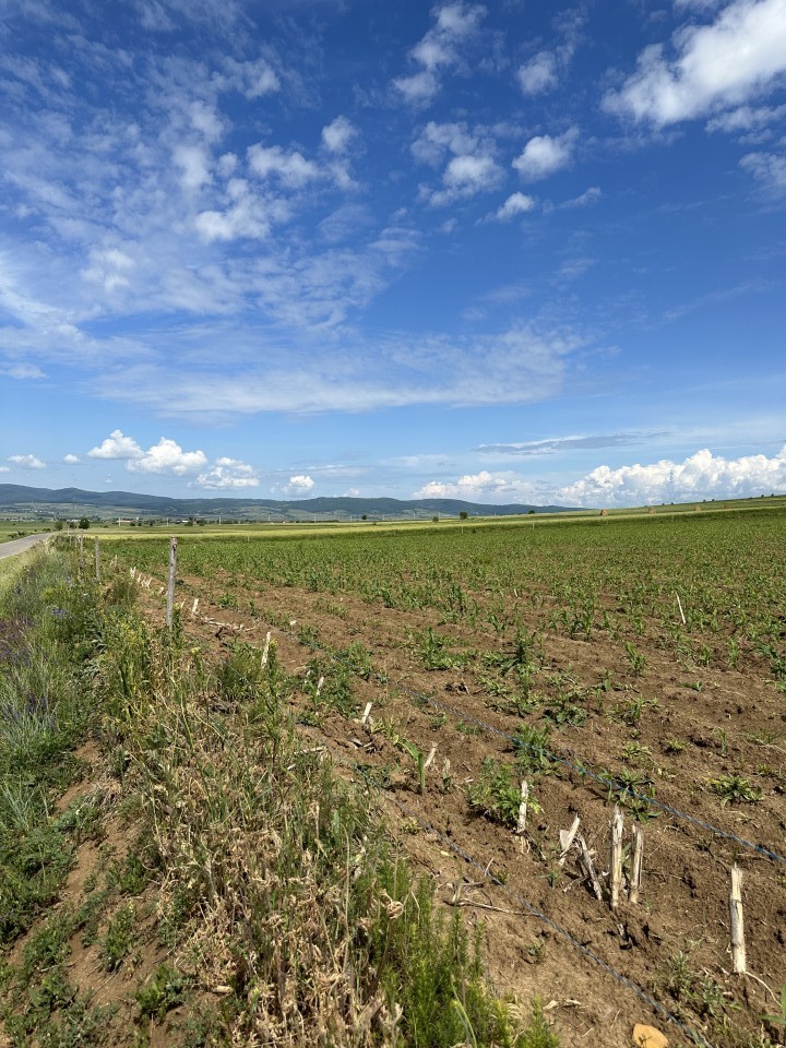 Termékértékelés - Villanypásztor zsinór - 500 m - 100 kg - 0,45 Ω/m - agroelectro.hu