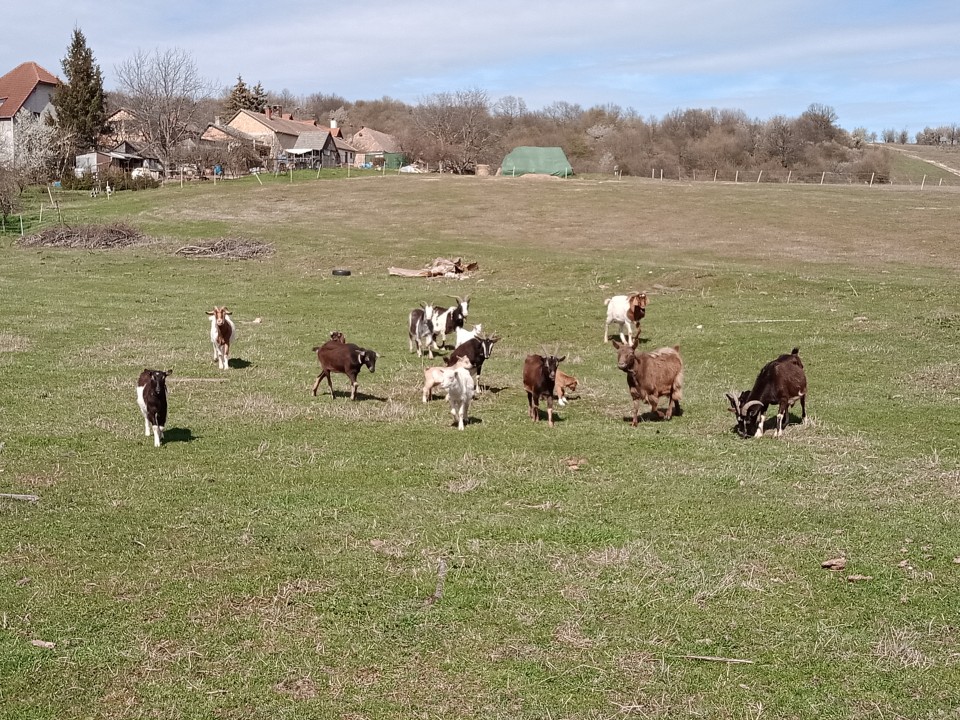 Termékértékelés - Bálatakaró ponyva - 9,8 × 25 m - agroelectro.hu