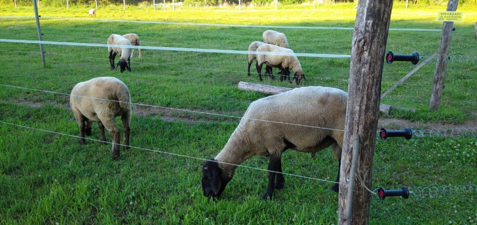 Termékértékelés - Kapufogantyú-szett, 5 m-es rugóval - agroelectro.hu