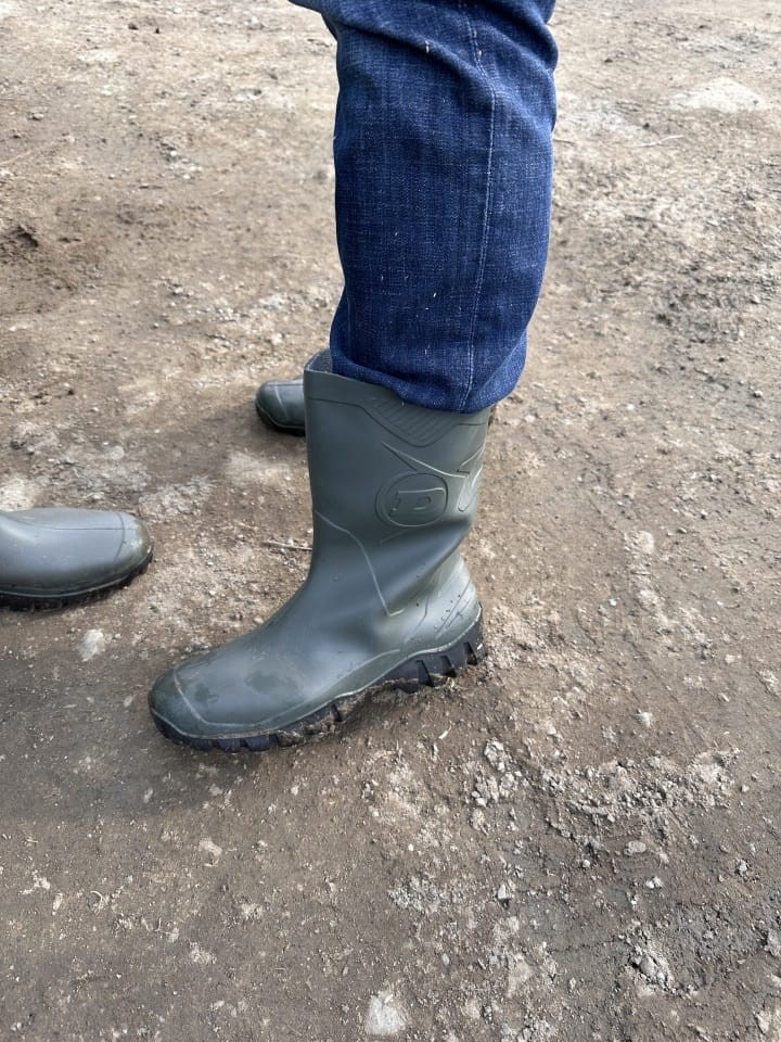 Termékértékelés - Dunlop Dee PVC munkacsizma, 43-as méret - agroelectro.hu