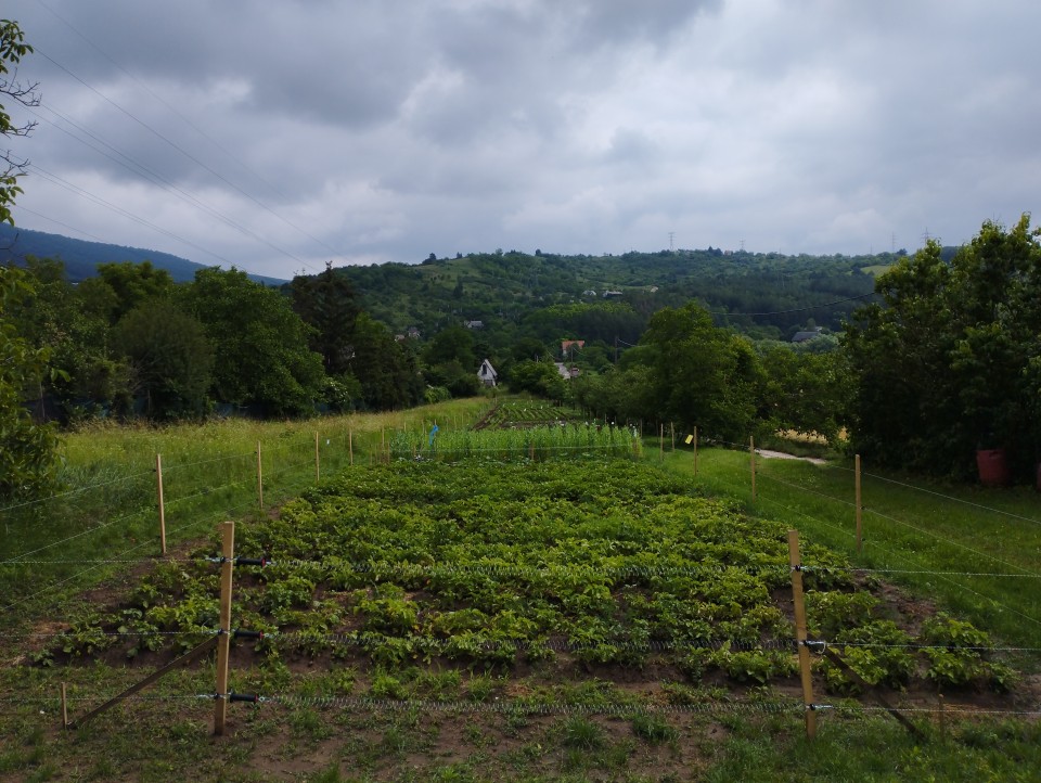 Termékértékelés - Teljes villanypásztor csomag vadállatoknak, 1500 m, 4,5 Joule, napelemes rendszerrel - agroelectro.hu