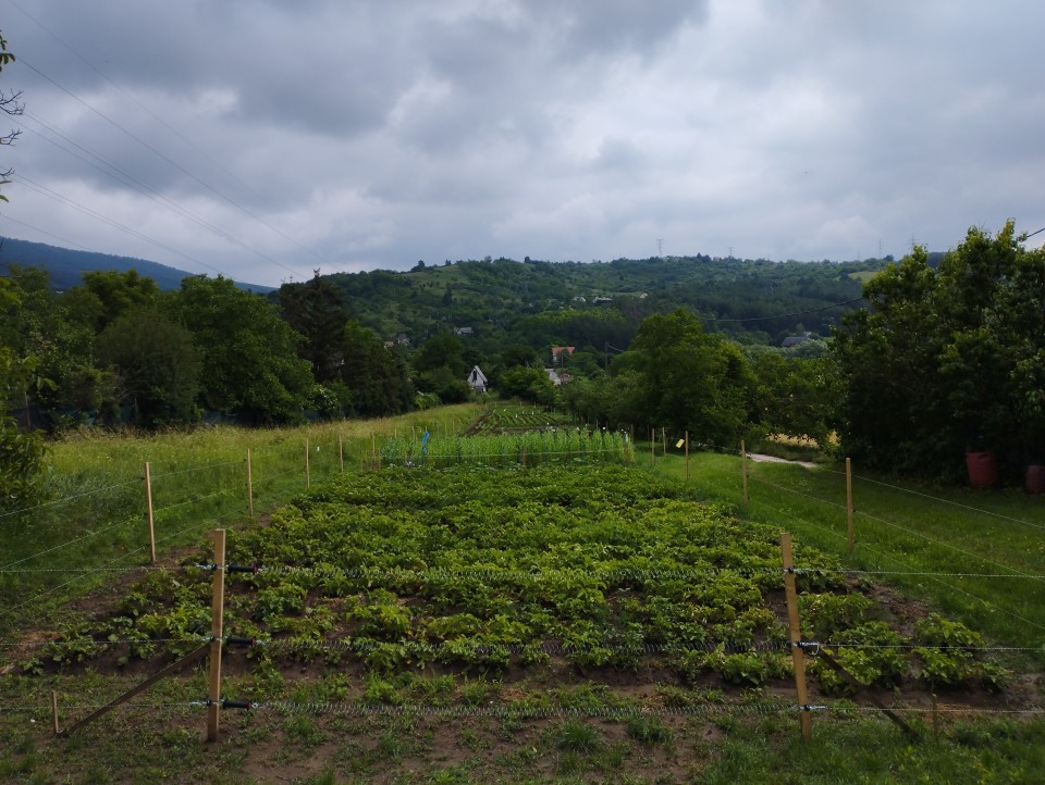 Termékértékelés - Teljes villanypásztor csomag vadállatoknak, 1500 m, 4,5 Joule, napelemes rendszerrel - agroelectro.hu