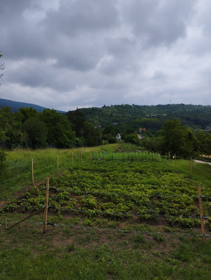 Termékértékelés - Teljes villanypásztor csomag vadállatoknak, 1500 m, 4,5 Joule, napelemes rendszerrel - agroelectro.hu