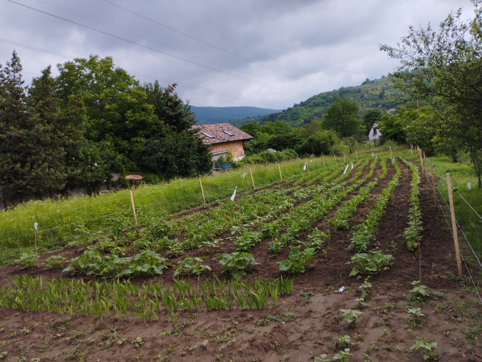 Termékértékelés - Teljes villanypásztor csomag vadállatoknak, 1500 m, 4,5 Joule, napelemes rendszerrel - agroelectro.hu