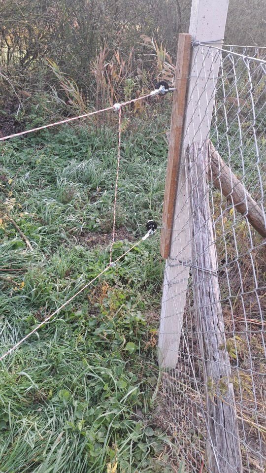 Termékértékelés - Villanypásztor alapcsomag háziállatoknak, 250 m, 3,2 Joule - agroelectro.hu