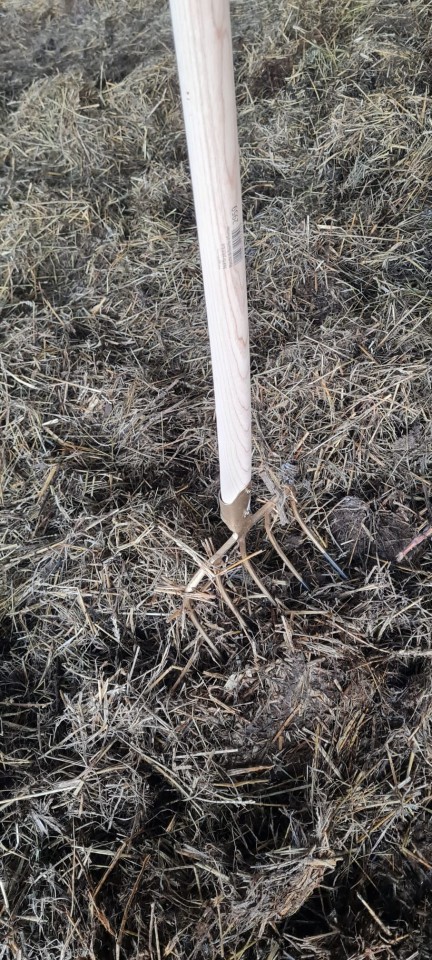 Termékértékelés - Trágyavilla, 5 ágú, nyél nélkül, 31 × 24 cm - agroelectro.hu