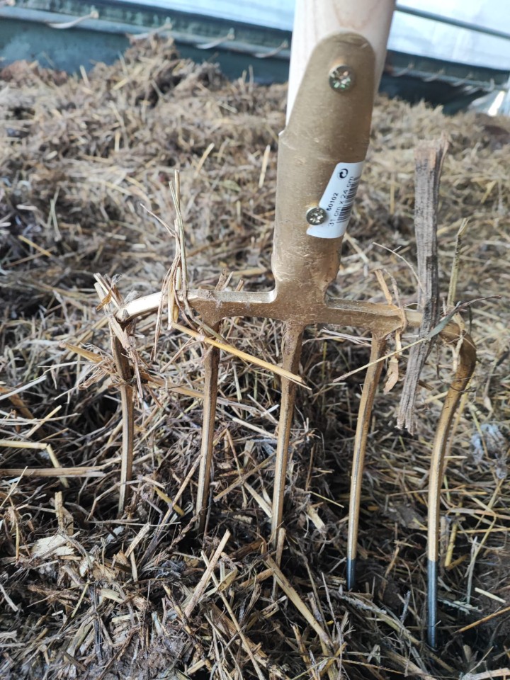 Termékértékelés - Trágyavilla, 5 ágú, nyél nélkül, 31 × 24 cm - agroelectro.hu