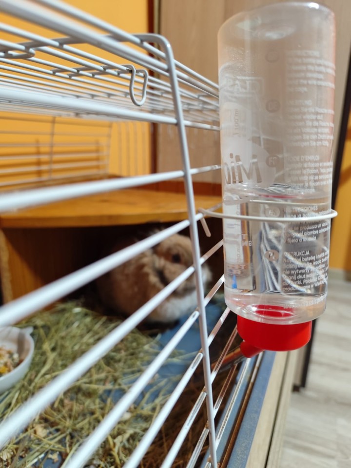 Termékértékelés - Golyós önitató kisállatoknak, 320 ml - agroelectro.hu