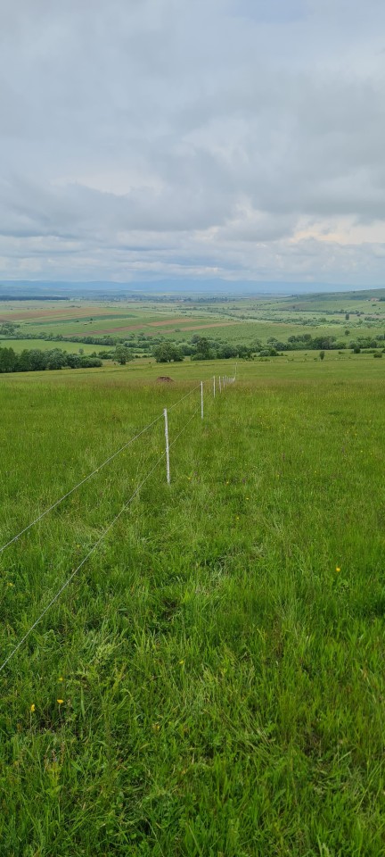 Termékértékelés - Műanyag karó, 105 cm , 40 db. - agroelectro.hu