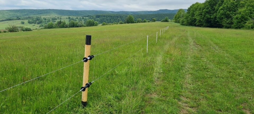 Termékértékelés - Műanyag karó, 105 cm , 40 db. - agroelectro.hu