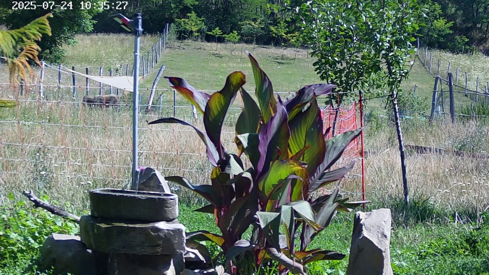 Termékértékelés - Villanypásztor háló 50 m × 90 cm - agroelectro.hu