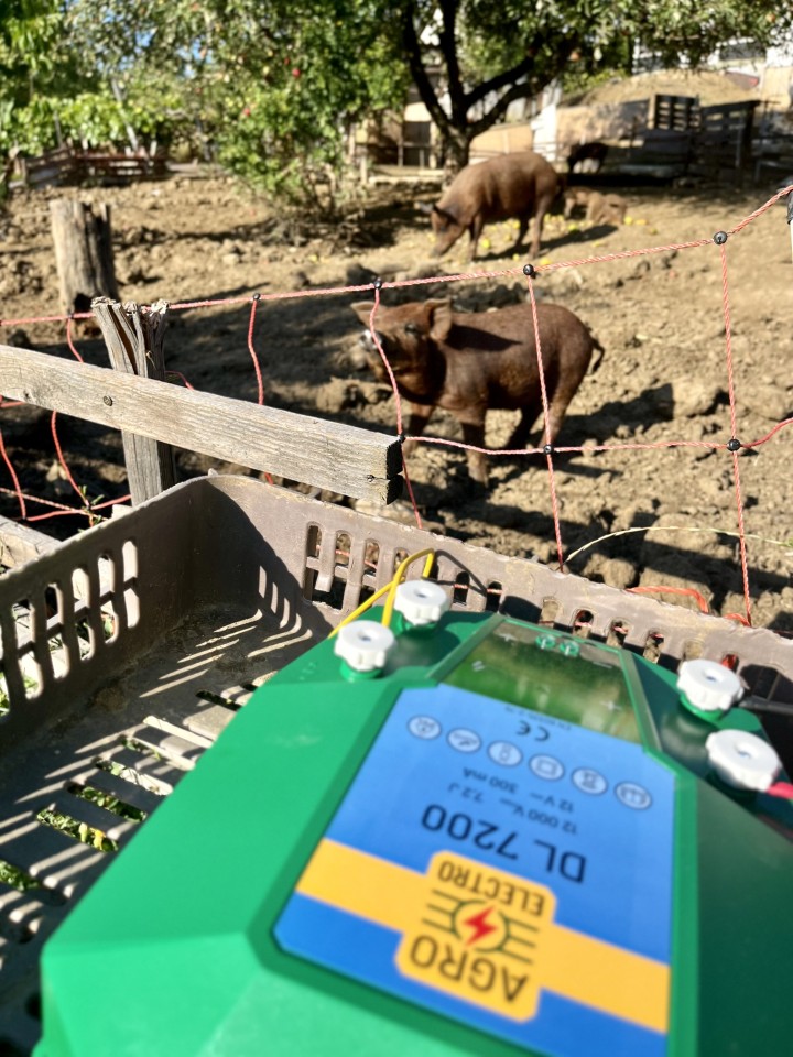 Termékértékelés - DL 7200 villanypásztor készülék, 12 V, 7,2 Joule, hálózati adapterrel - agroelectro.hu